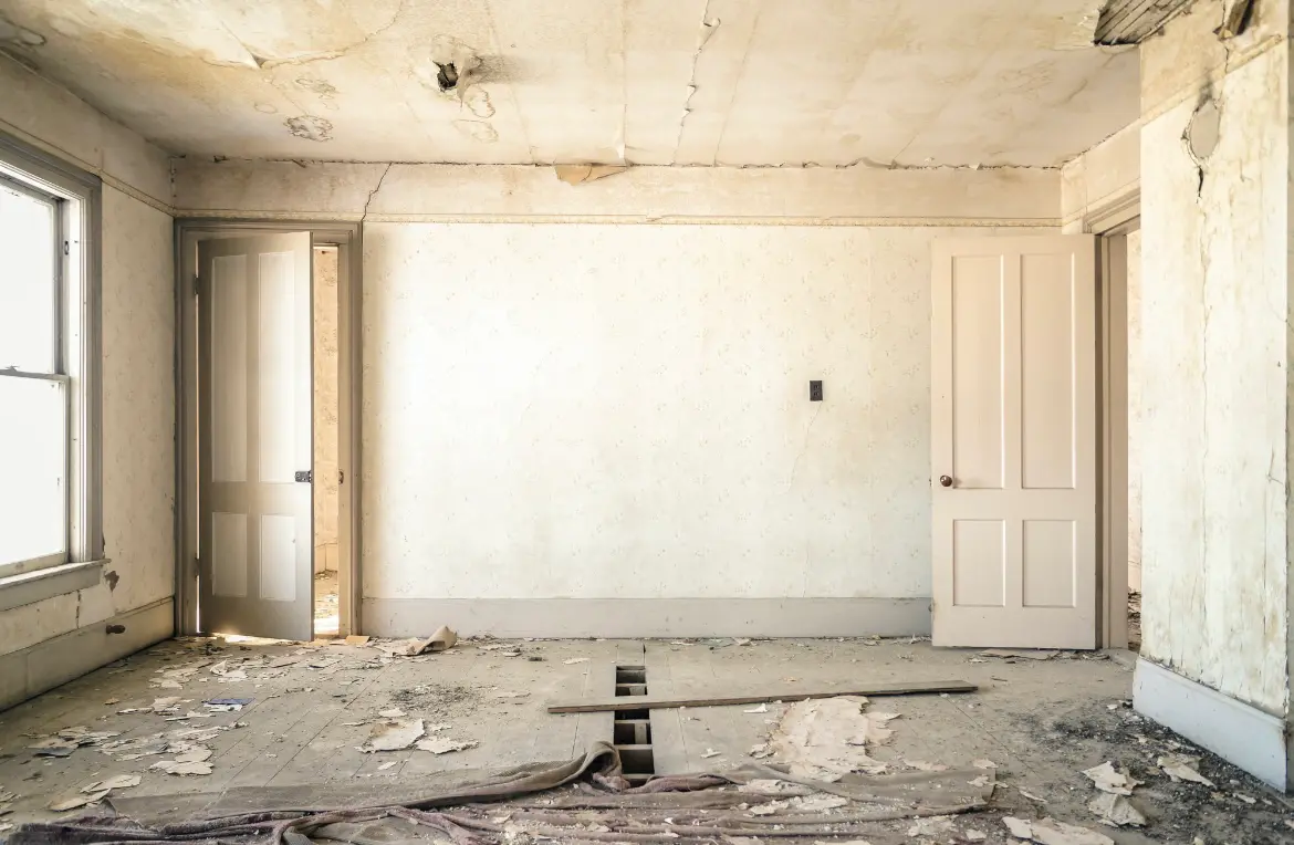 Waste disposal crew managing a cleanout project in Haledon